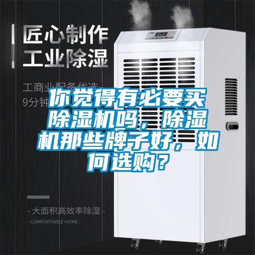 你覺得有必要買除濕機嗎，除濕機那些牌子好，如何選購？