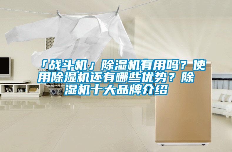 「戰(zhàn)斗機(jī)」除濕機(jī)有用嗎？使用除濕機(jī)還有哪些優(yōu)勢(shì)？除濕機(jī)十大品牌介紹