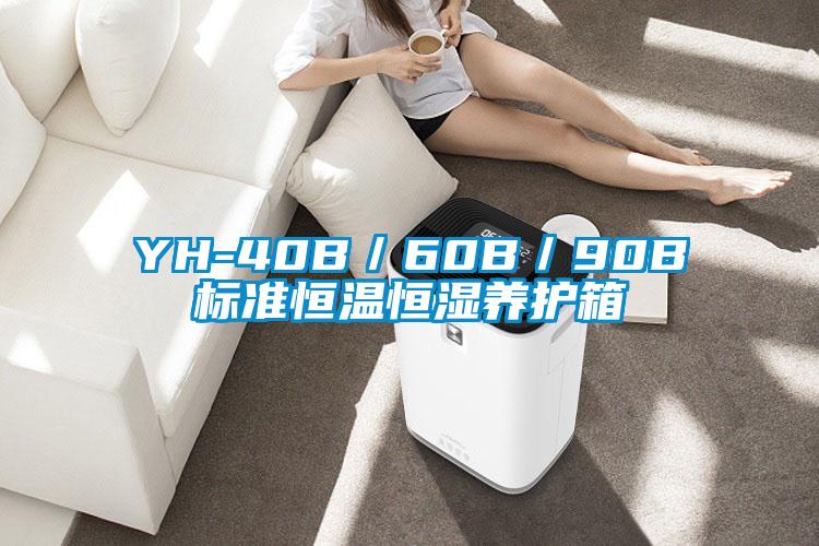 YH-40B/60B/90B標(biāo)準(zhǔn)恒溫恒濕養(yǎng)護(hù)箱