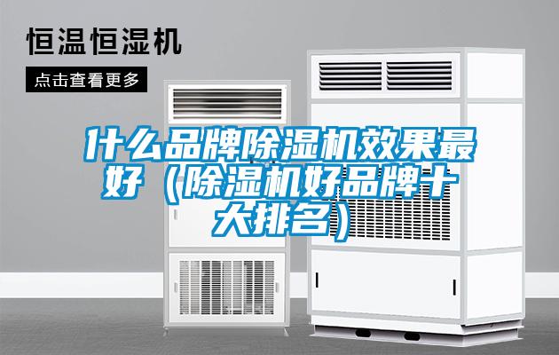 什么品牌除濕機效果最好(除濕機好品牌十大排名)