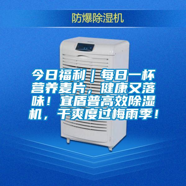 今日福利｜每日一杯營(yíng)養(yǎng)麥片，健康又落味！宜盾普高效除濕機(jī)，干爽度過(guò)梅雨季！