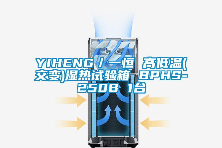 YIHENG/一恒 高低溫(交變)濕熱試驗(yàn)箱 BPHS-250B 1臺(tái)