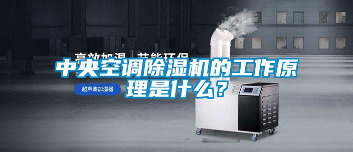 中央空調(diào)除濕機(jī)的工作原理是什么?