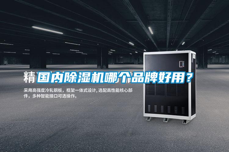 國內除濕機哪個品牌好用？