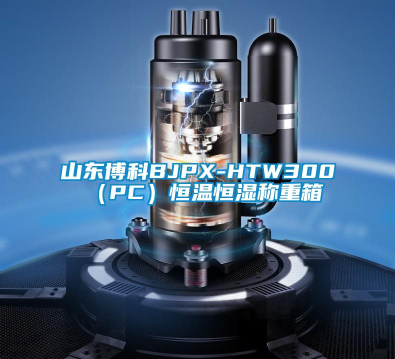 山東博科BJPX-HTW300(PC)恒溫恒濕稱重箱