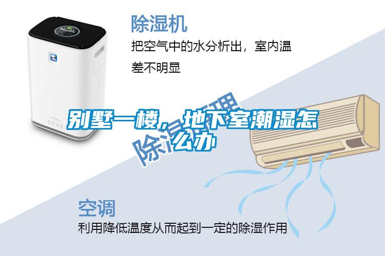 別墅一樓，地下室潮濕怎么辦