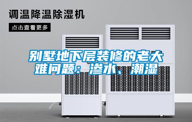 別墅地下層裝修的老大難問題：滲水、潮濕