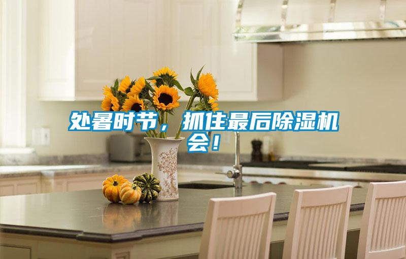 處暑時節,抓住最后除濕機會!