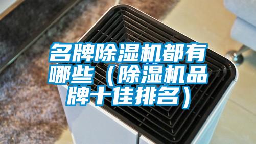 名牌除濕機(jī)都有哪些(除濕機(jī)品牌十佳排名)