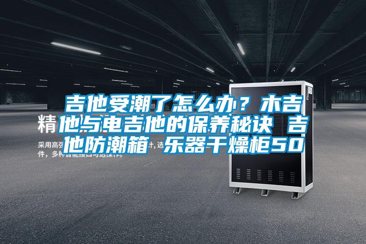 吉他受潮了怎么辦？木吉他與電吉他的保養秘訣 吉他防潮箱 樂器干燥柜50