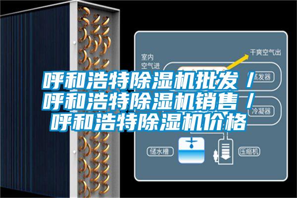 呼和浩特除濕機批發(fā)/呼和浩特除濕機銷售/呼和浩特除濕機價格