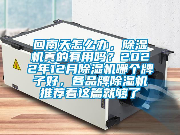 回南天怎么辦，除濕機真的有用嗎？2022年12月除濕機哪個牌子好，各品牌除濕機推薦看這篇就夠了