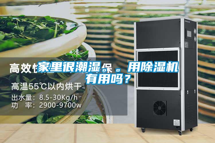 家里很潮濕。。用除濕機有用嗎？