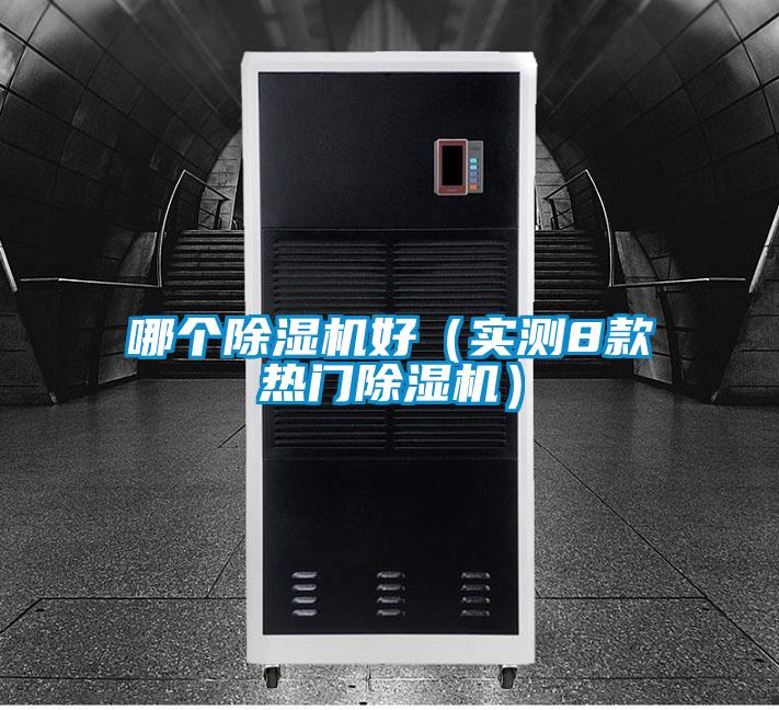 哪個(gè)除濕機(jī)好（實(shí)測(cè)8款熱門(mén)除濕機(jī)）