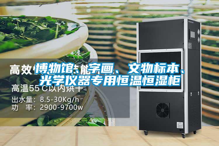 博物館、字畫、文物標(biāo)本、光學(xué)儀器專用恒溫恒濕柜