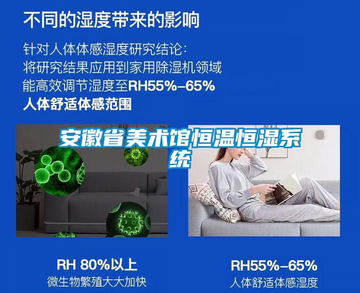 安徽省美術館恒溫恒濕系統