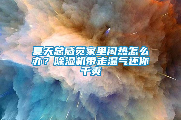 夏天總感覺家里悶熱怎么辦?除濕機帶走濕氣還你干爽