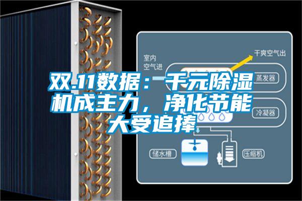 雙.11數據：千元除濕機成主力，凈化節能大受追捧