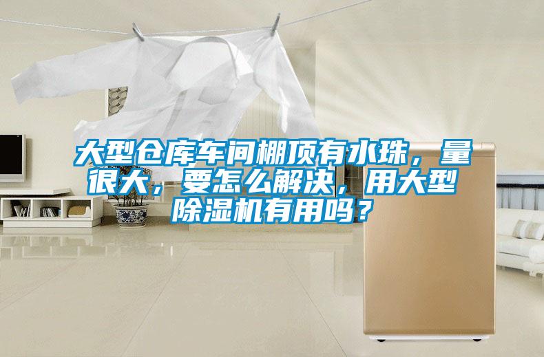 大型倉庫車間棚頂有水珠，量很大，要怎么解決，用大型除濕機(jī)有用嗎？