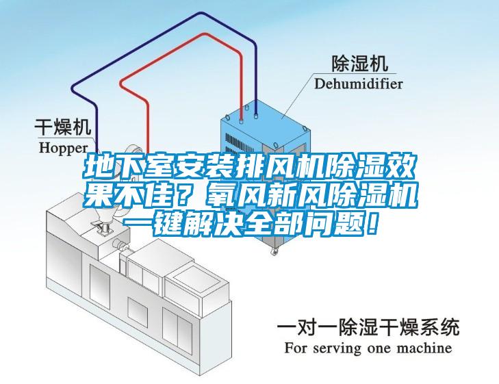 地下室安裝排風機除濕效果不佳?氧風新風除濕機一鍵解決全部問題!