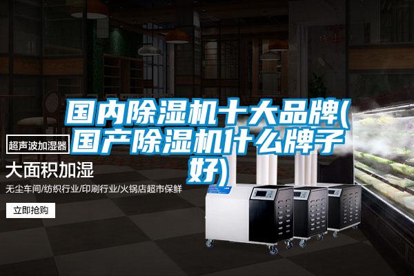 國內除濕機十大品牌(國產除濕機什么牌子好)