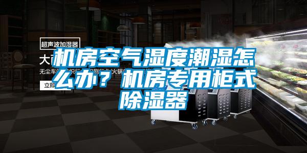 機房空氣濕度潮濕怎么辦？機房專用柜式除濕器