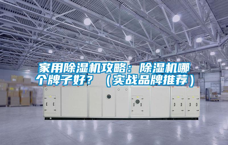 家用除濕機攻略：除濕機哪個牌子好？（實戰(zhàn)品牌推薦）