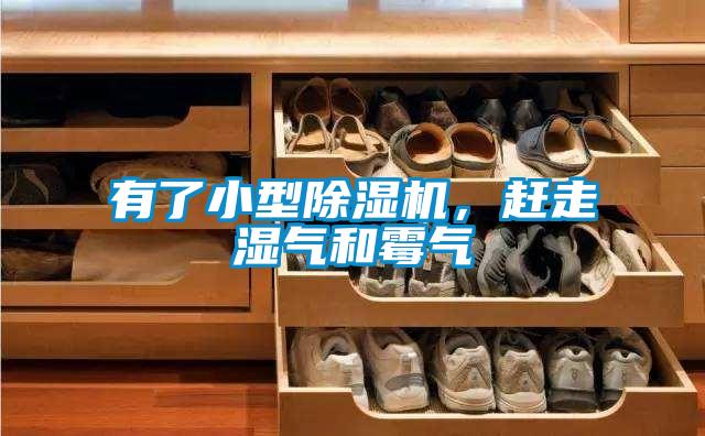 有了小型除濕機(jī),趕走濕氣和霉氣