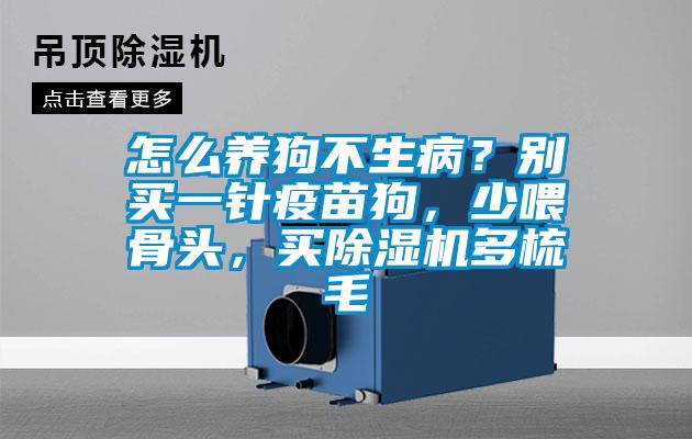 怎么養狗不生病？別買一針疫苗狗，少喂骨頭，買除濕機多梳毛