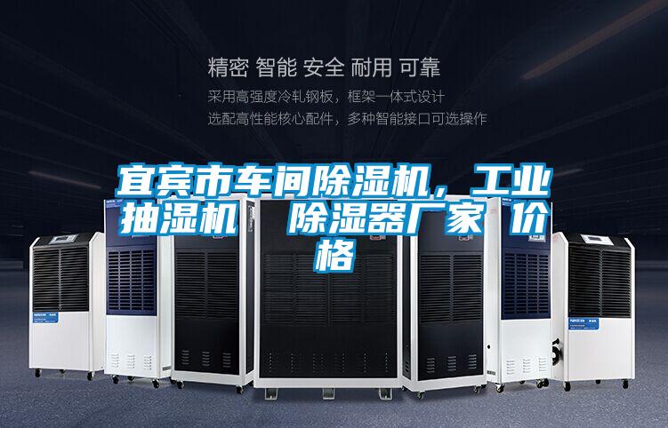 宜賓市車間除濕機，工業抽濕機  除濕器廠家 價格