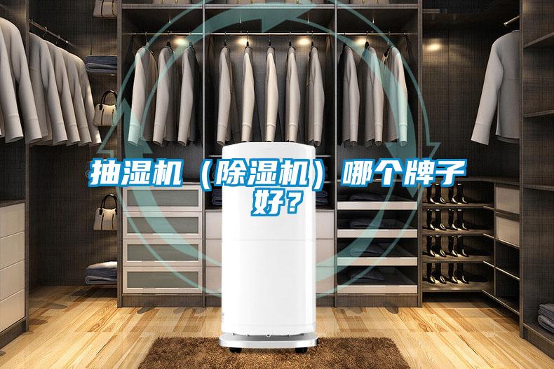 抽濕機(jī)(除濕機(jī))哪個(gè)牌子好?