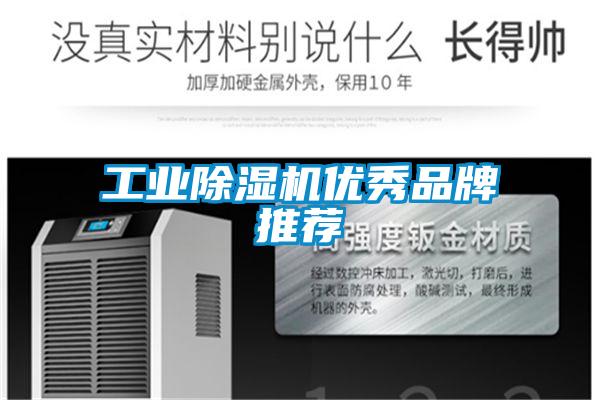 工業除濕機優秀品牌推薦