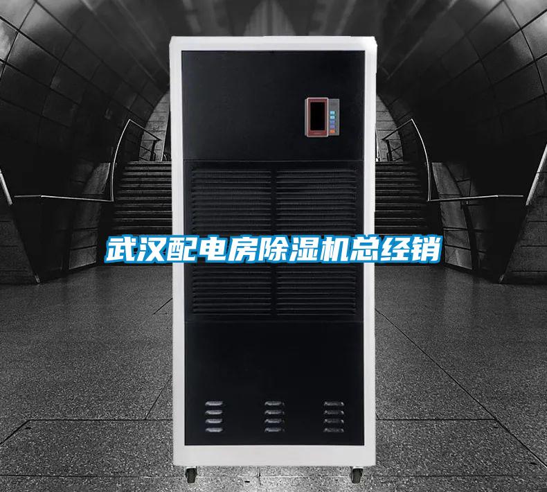 武漢配電房除濕機總經銷