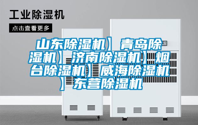 山東除濕機(jī)】青島除濕機(jī)】濟(jì)南除濕機(jī)】煙臺除濕機(jī)】威海除濕機(jī)】東營除濕機(jī)