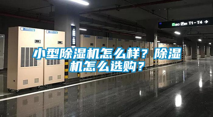 小型除濕機怎么樣？除濕機怎么選購？