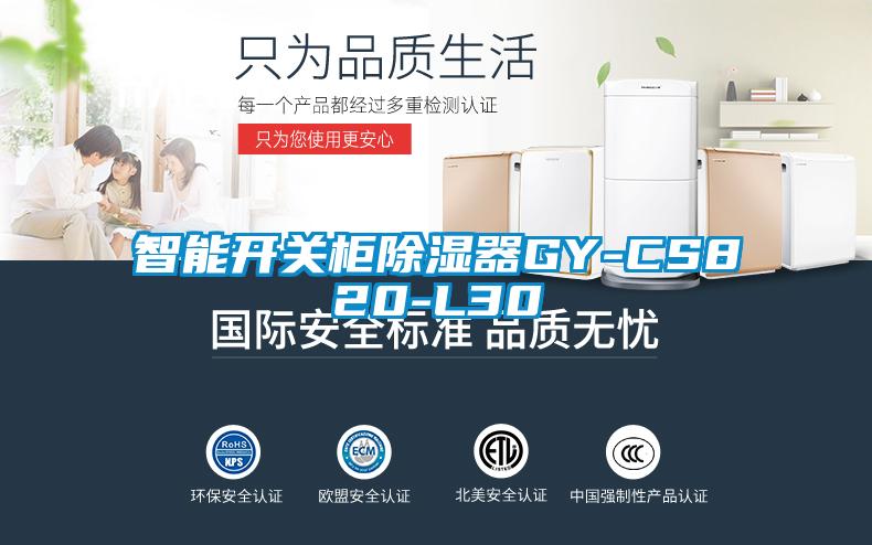 智能開(kāi)關(guān)柜除濕器GY-CS820-L30