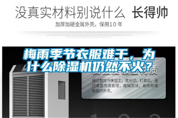 梅雨季節衣服難干，為什么除濕機仍然不火？