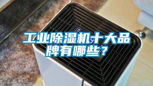 工業(yè)除濕機十大品牌有哪些？
