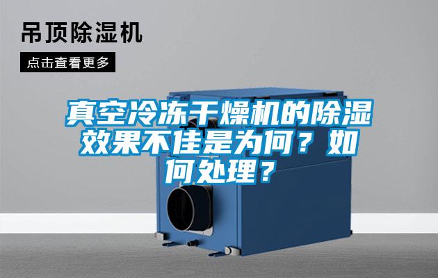 真空冷凍干燥機的除濕效果不佳是為何？如何處理？