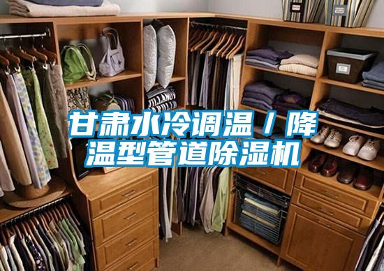 甘肅水冷調溫/降溫型管道除濕機