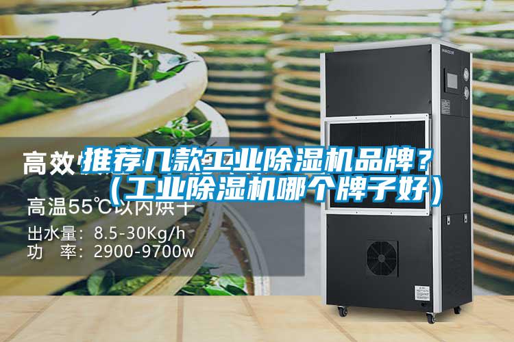 推薦幾款工業(yè)除濕機(jī)品牌？（工業(yè)除濕機(jī)哪個牌子好）