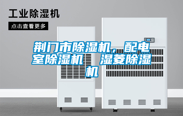荊門市除濕機(jī)，配電室除濕機(jī)  濕菱除濕機(jī)