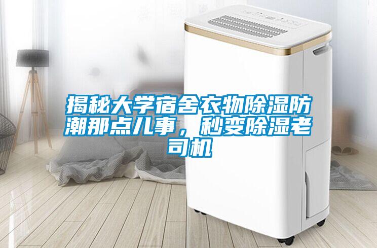 揭秘大學宿舍衣物除濕防潮那點兒事，秒變除濕老司機