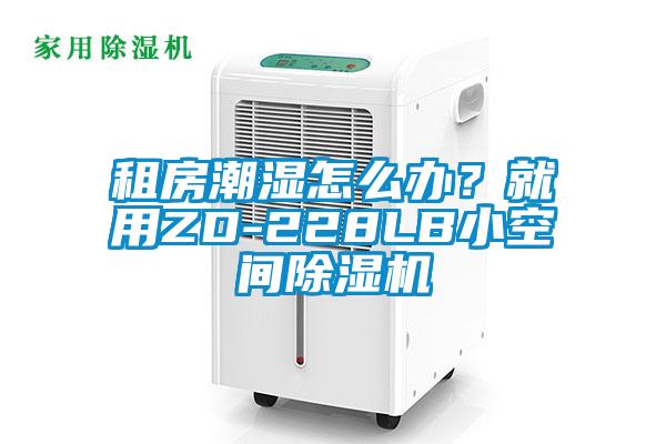 租房潮濕怎么辦？就用ZD-228LB小空間除濕機