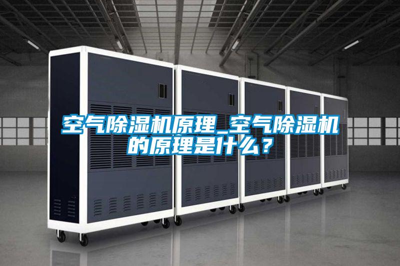 空氣除濕機(jī)原理_空氣除濕機(jī)的原理是什么?