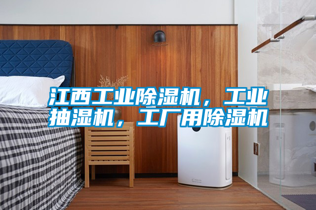江西工業除濕機，工業抽濕機，工廠用除濕機