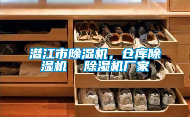 潛江市除濕機，倉庫除濕機  除濕機廠家