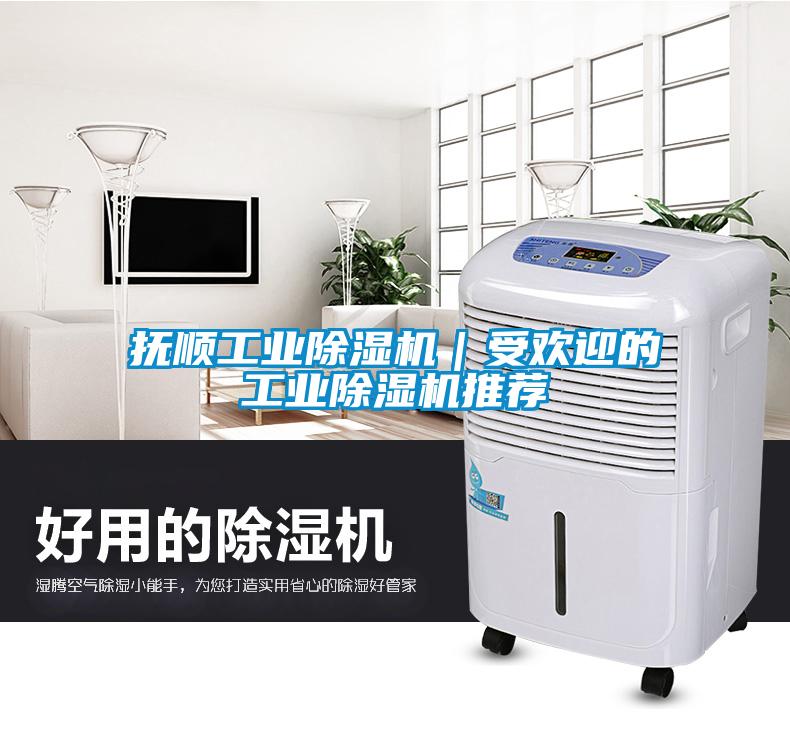 撫順工業除濕機|受歡迎的工業除濕機推薦