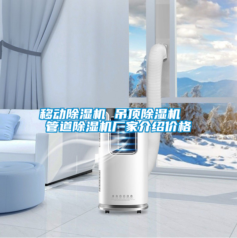 移動除濕機(jī) 吊頂除濕機(jī) 管道除濕機(jī)廠家介紹價格