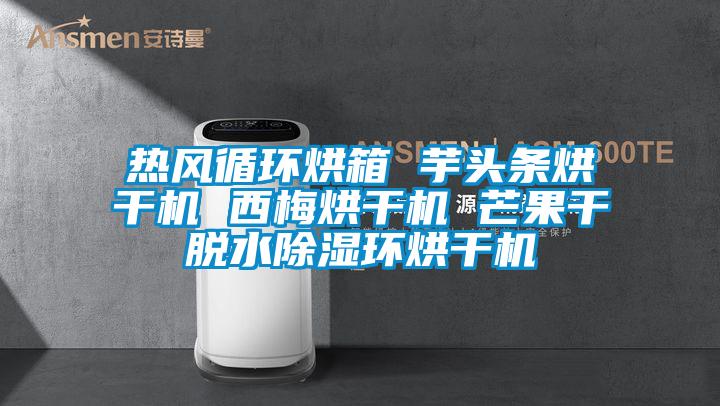 熱風循環(huán)烘箱 芋頭條烘干機 西梅烘干機 芒果干脫水除濕環(huán)烘干機